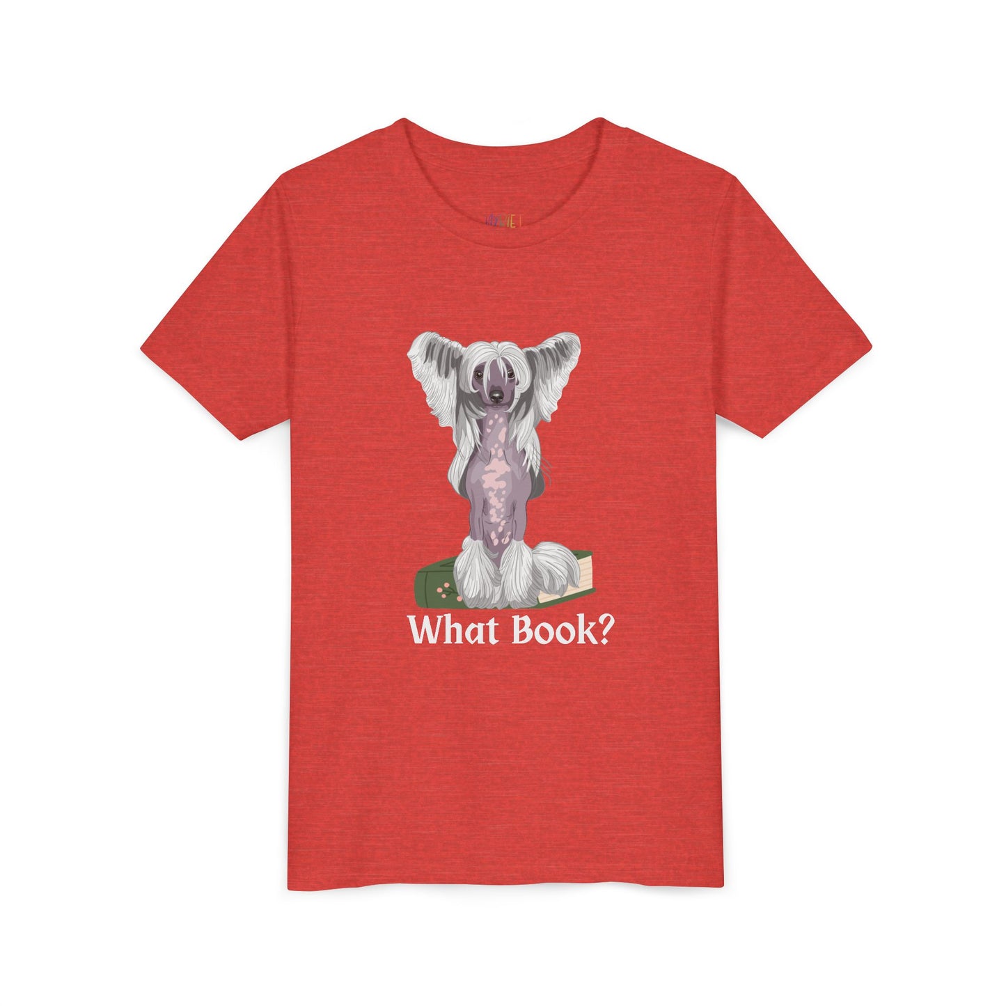 Youth What Book? T-Shirt – For the Sneaky Reader or Class Clown