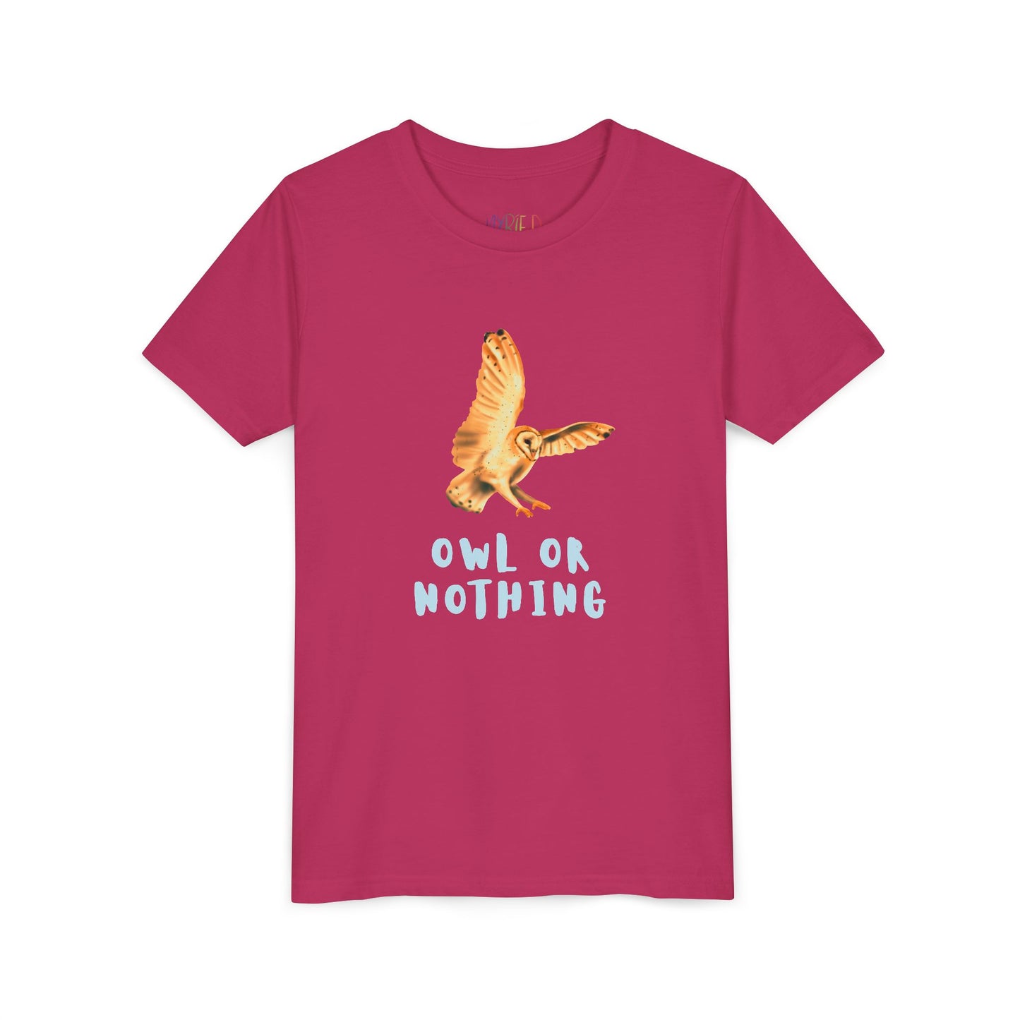 Youth Owl or Nothing T-Shirt – Playful Animal Pun Tee for Kids Who Give It Their All