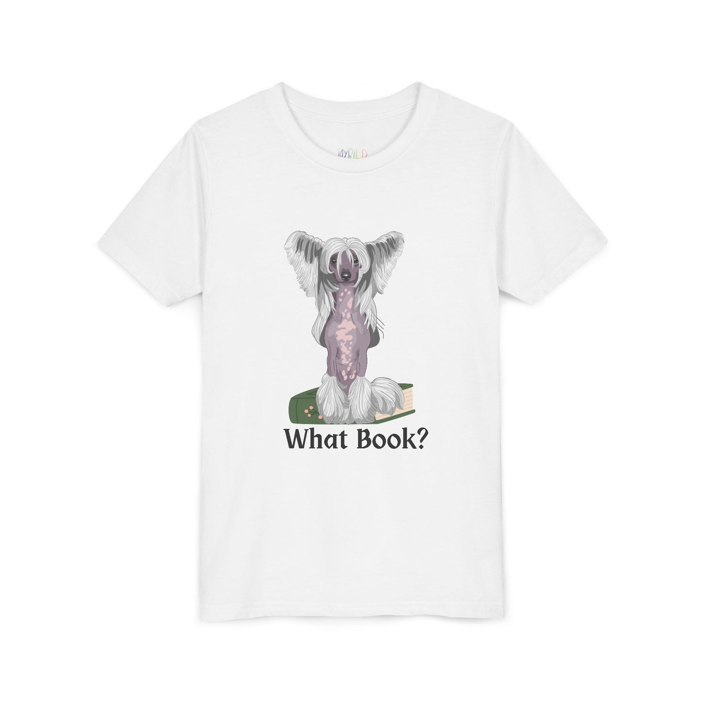 Youth What Book? T-Shirt – For the Sneaky Reader or Class Clown