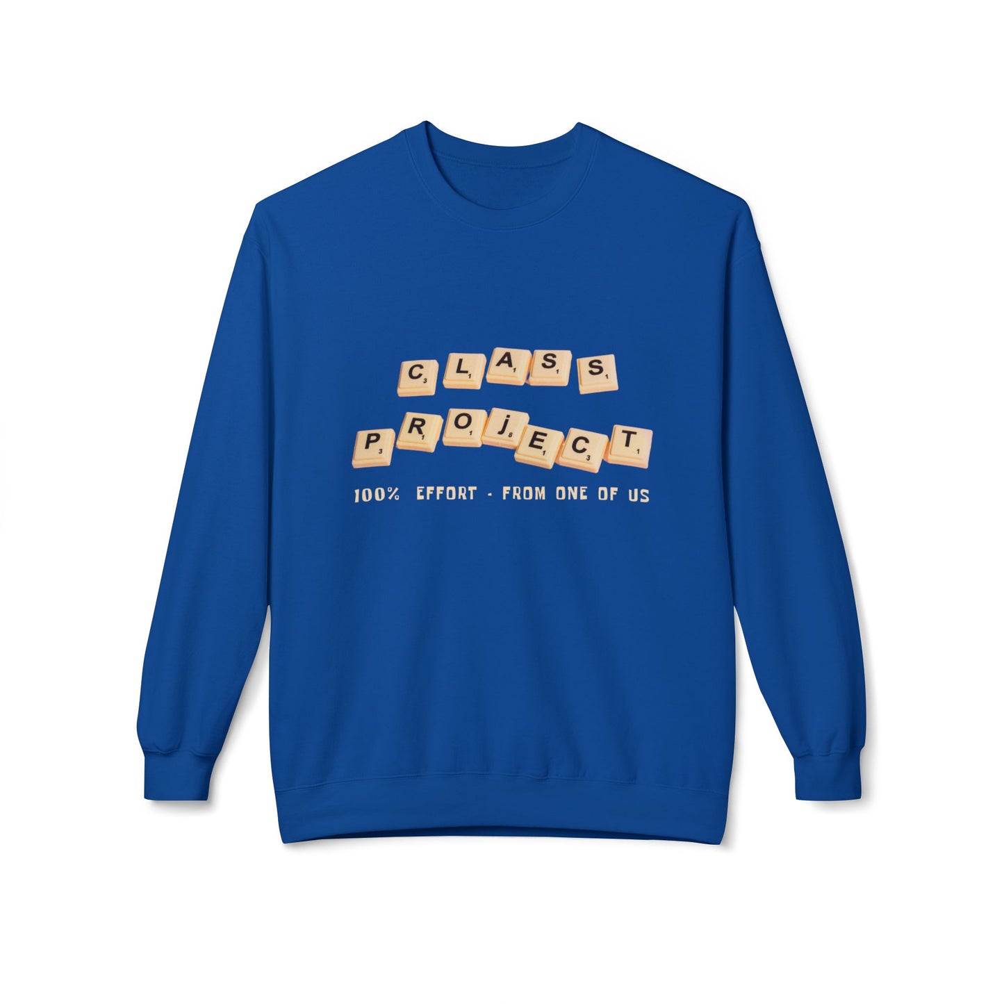 Teen/Adult Unisex Funny Class Project Sweatshirt