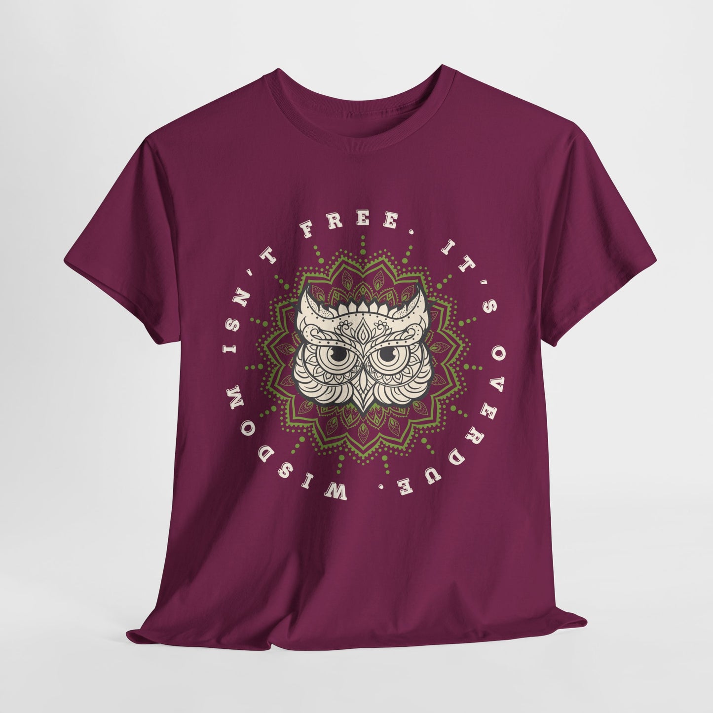 Teen/Adult Unisex – Wisdom Isn’t Free Tee – Overdue Owl Library Shirt