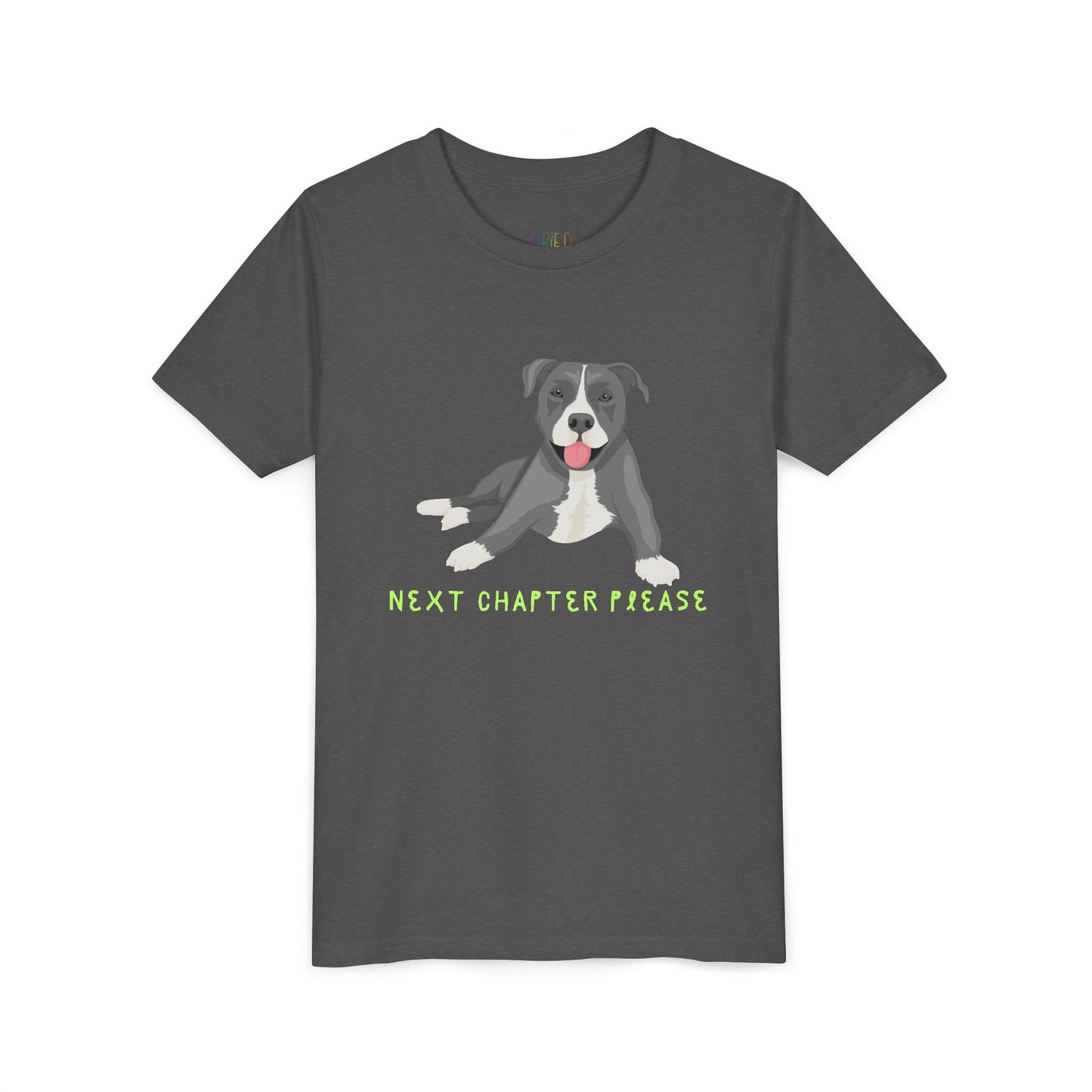 Youth Next Chapter Please T-Shirt – For Kids Who Just Can’t Stop Reading