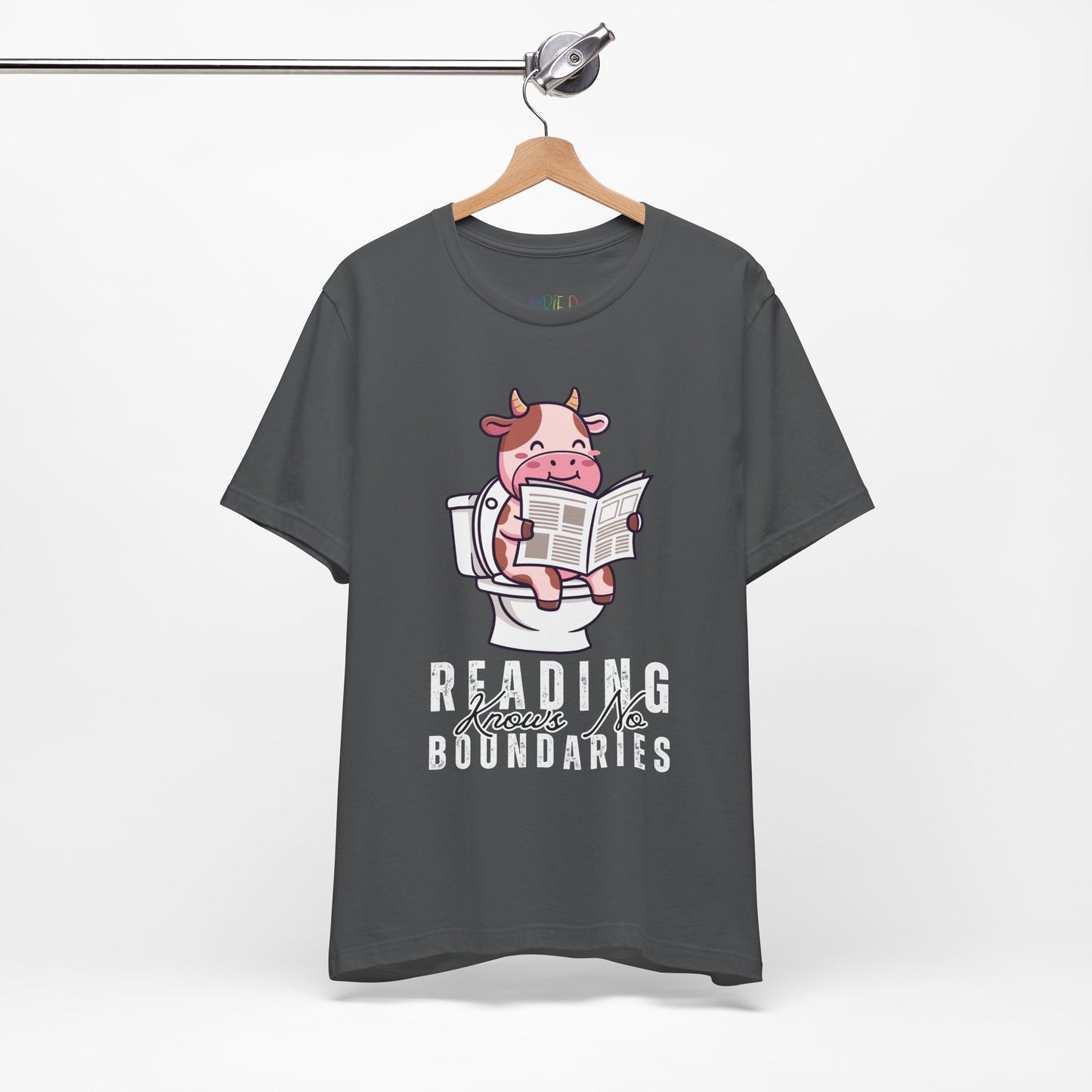 Teen/Adult Unisex Reading Knows No Boundaries T-Shirt
