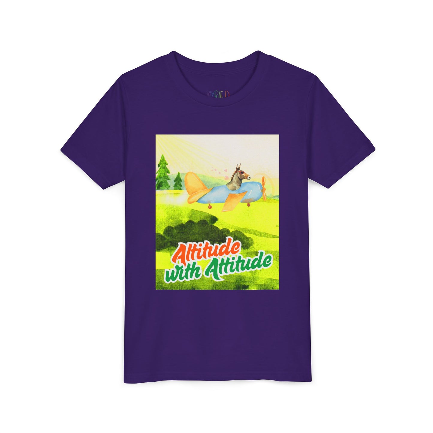 Youth Altitude with Attitude – Soaring Sass Tee